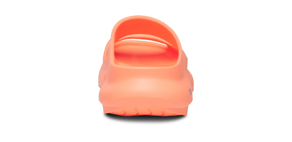 1700SUNBUR_shot5.jpg